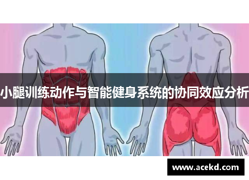小腿训练动作与智能健身系统的协同效应分析